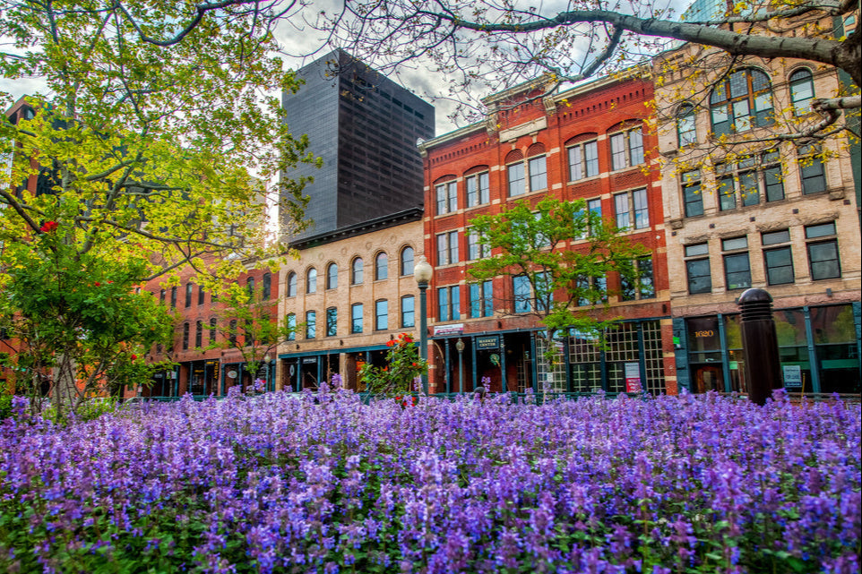 Denver.Realty