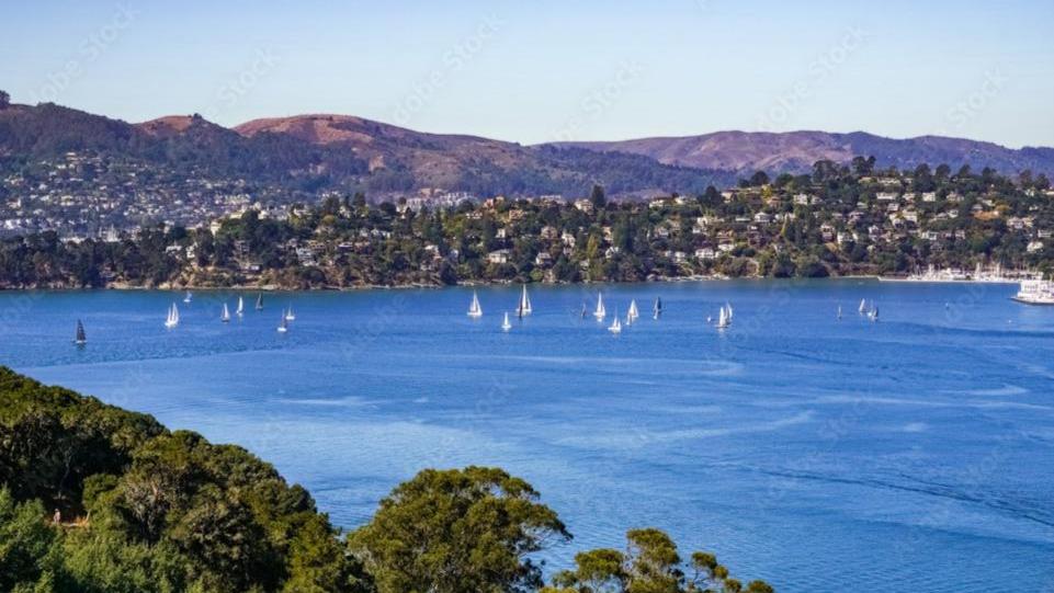 Tiburon.realty