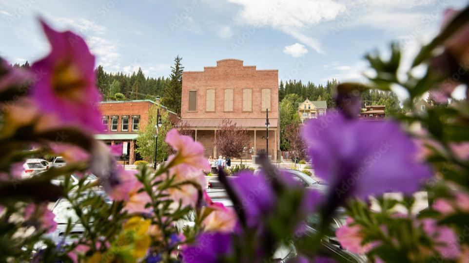 Truckee.Realty