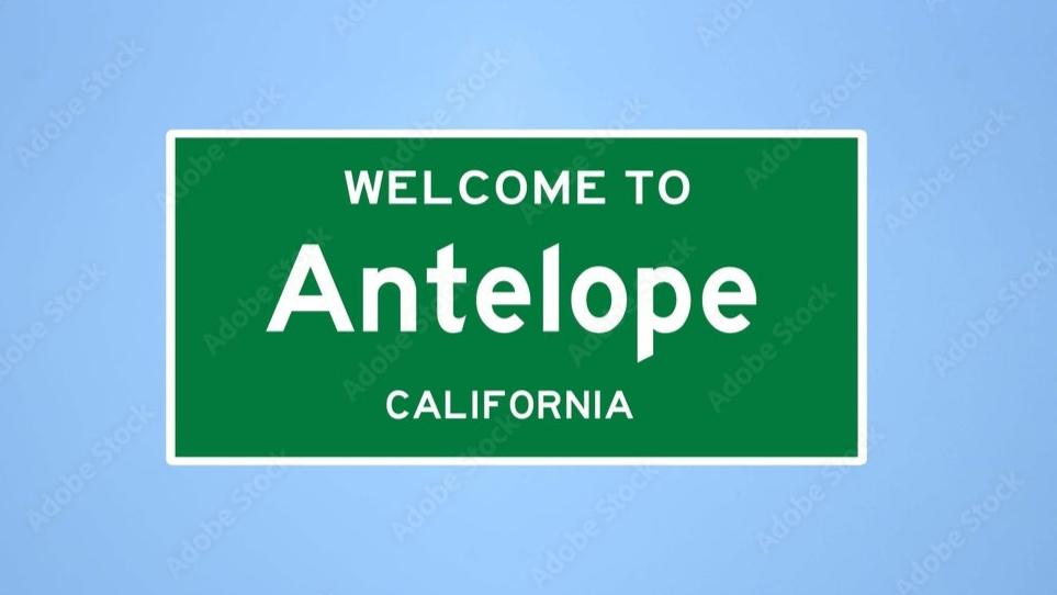 Antelope.realty