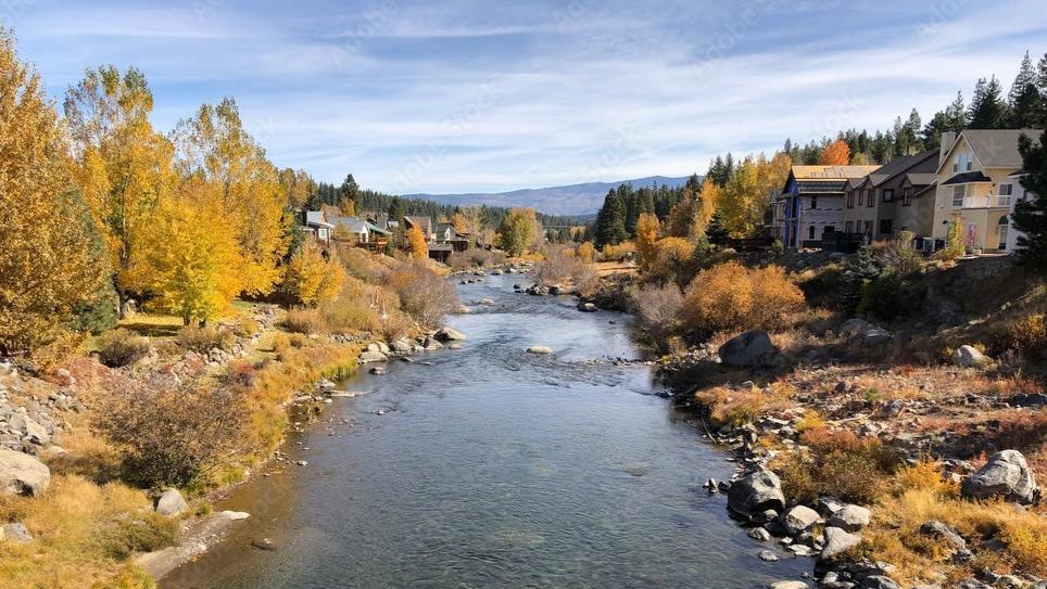 Truckee.Realty