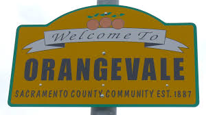 Orangevale.realty