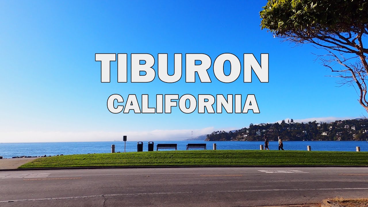 Tiburon.realty